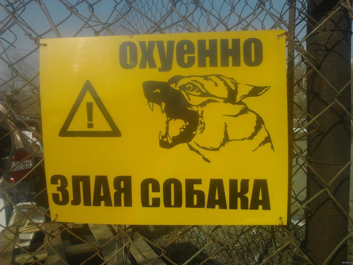 ОХУЕННО ЗЛАЯ СОБАКА