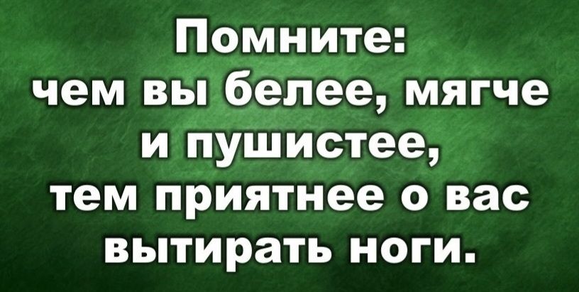 Помните: чем вы белее, мягче и пушистее, тем приятнее о вас вытирать ноги.