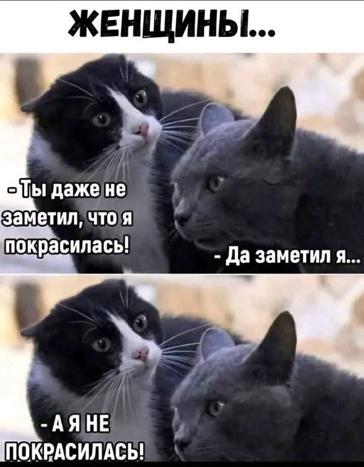 ЖЕНЩИНЫ... - Ты даже не заметил, что я покрасилась! - Да заметил я... - А я не покрасилась!