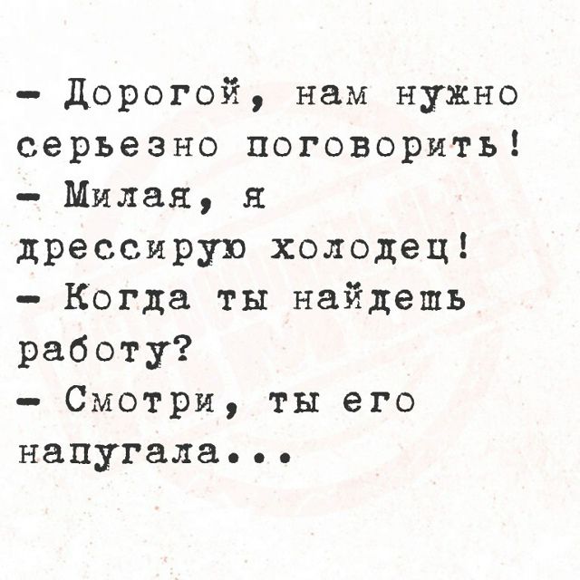 Дорогой, нам нужно серьезно поговорить! Милая, я дрессирую холодец! Когда ты найдешь работу? Смотри, ты его напугала...