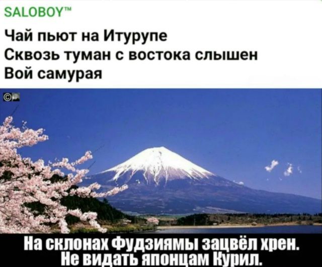 SALOBOY™ Чай пьют на Итурупе Сквозь туман с востока слышен Вой самурая На склонах фудзиямы зацвёл хрен. Не видать японцам Курил.