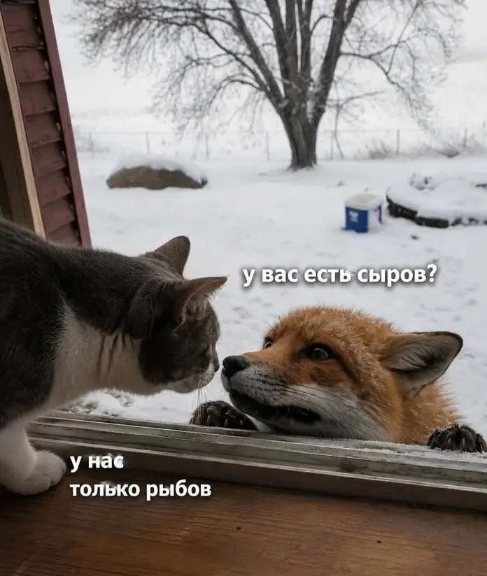 у вас есть сыров? у нас только рыбов
