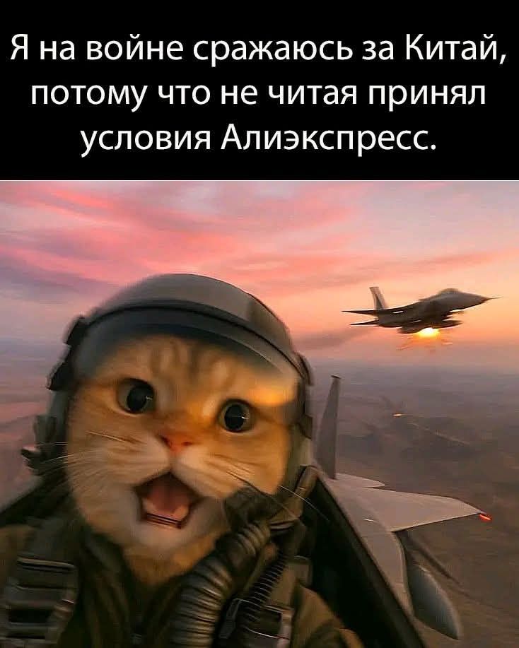 Я на войне сражаюсь за Китай, потому что не читая принял условия Алиэкспресс.