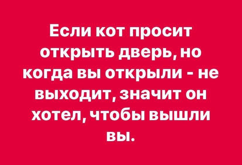 Если кот просит открыть дверь, но когда вы открыли - не выходит, значит он хотел, чтобы вышли вы.