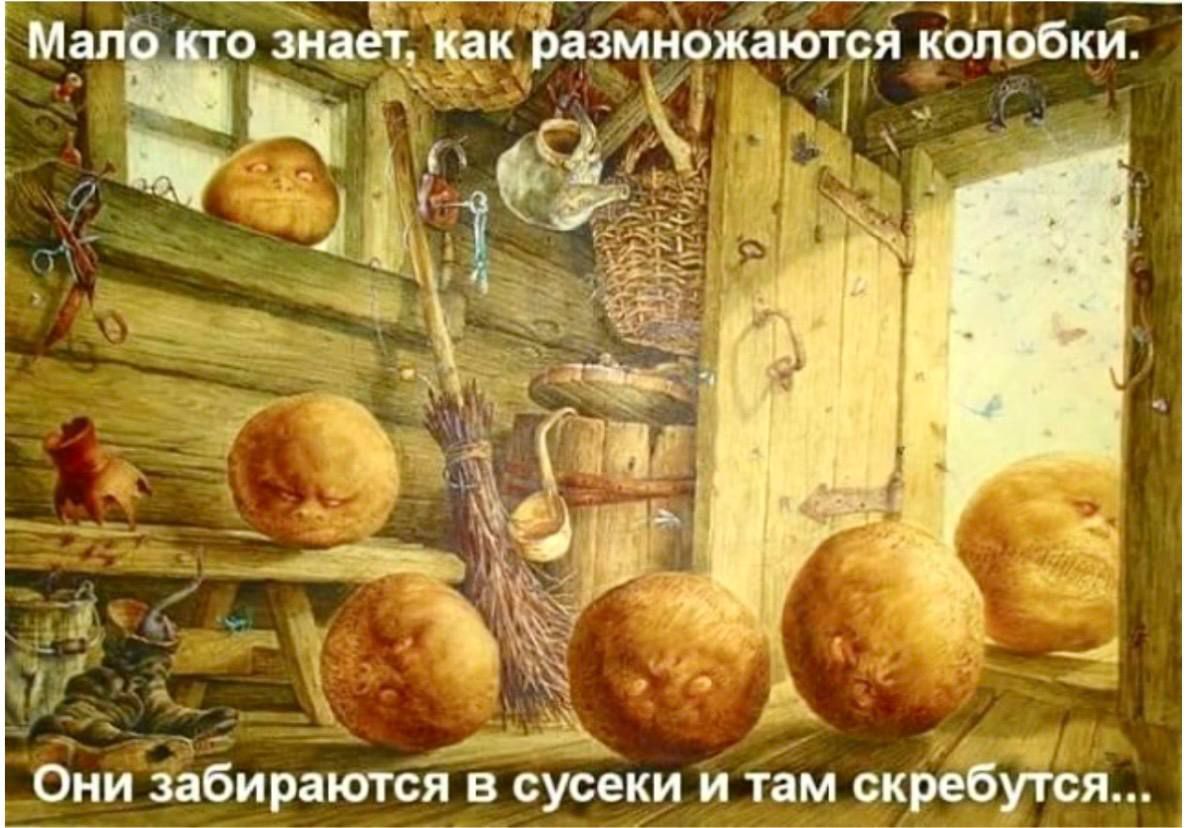 Мало кто знает, как размножаются колобки. Они забираются в сусеки и там скребутся...