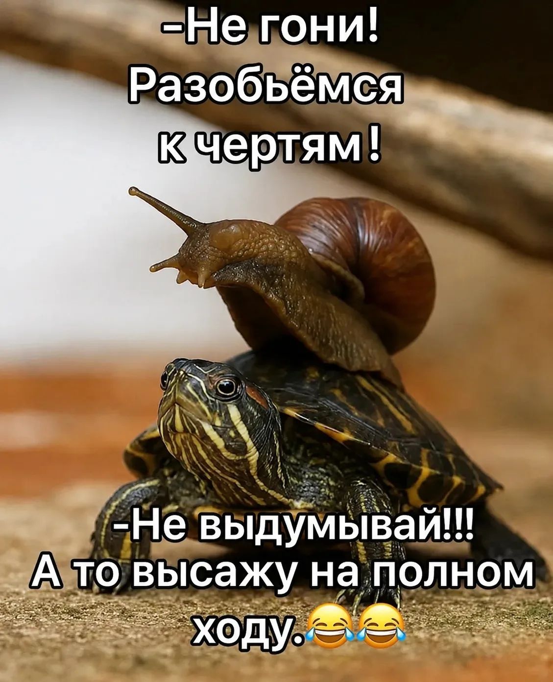 -Не гони! Разобьёмся к чертям! -Не выдумывай!!! А то высажу на полном ходу. 😂😂