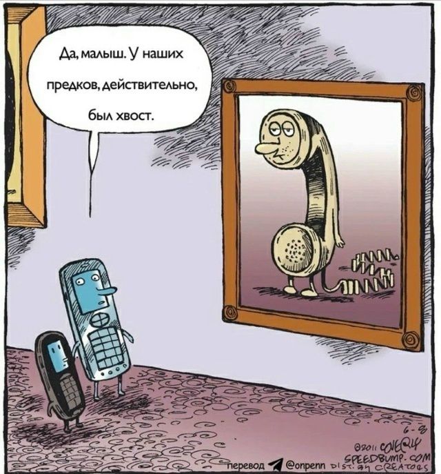 Да, малыш. У наших предков, действительно, был хвост.