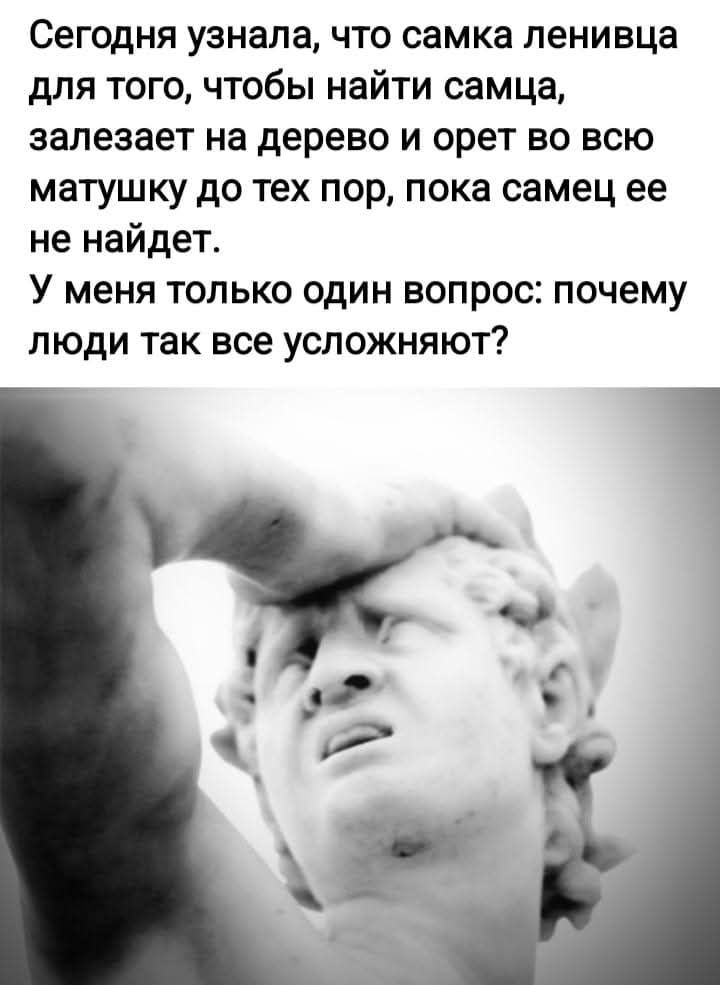 Сегодня узнала, что самка ленивца для того, чтобы найти самца, залезает на дерево и орет во всю матушку до тех пор, пока самец ее не найдет. У меня только один вопрос: почему люди так все усложняют?