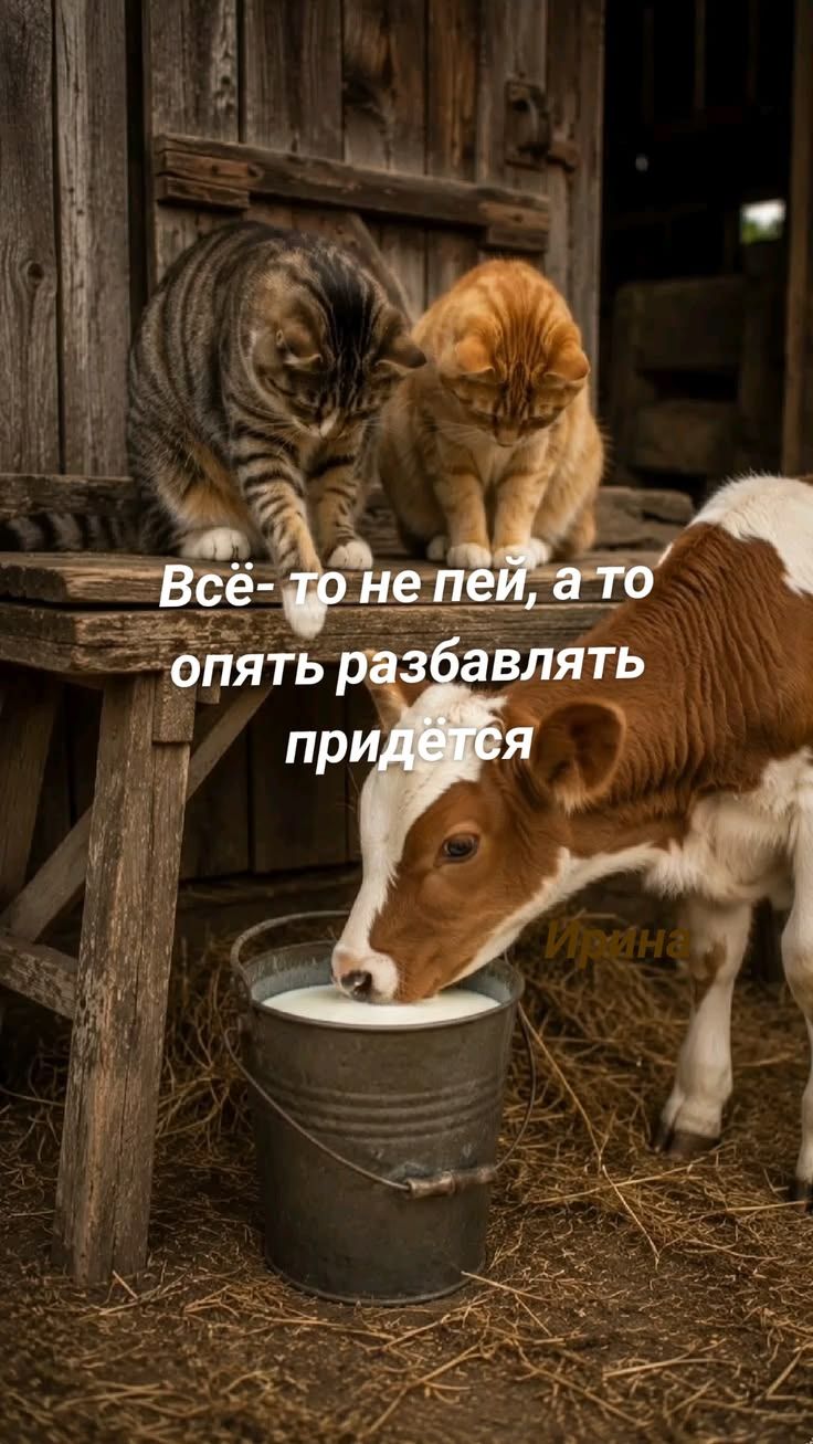 Всё-то не пей, а то опять разбавлять придётся