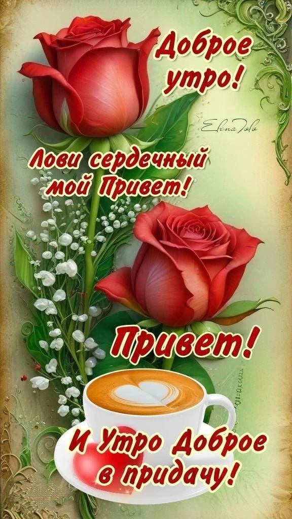 Доброе утро! Лови сердечный мой Привет! Привет! И Утро Доброе в придачу!