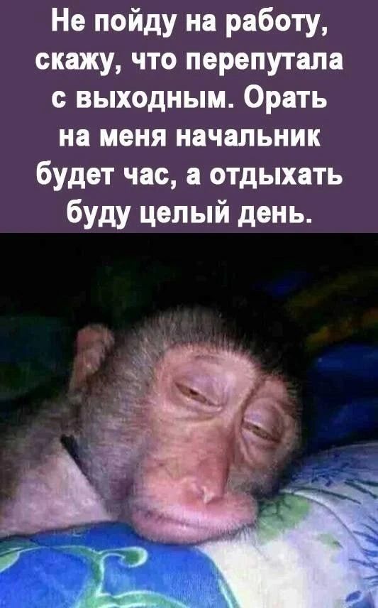 Не пойду на работу, скажу, что перепутала с выходным. Орать на меня начальник будет час, а отдыхать буду целый день.