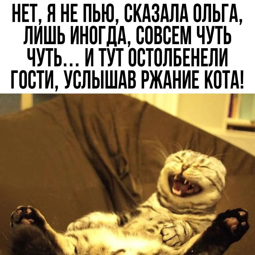 НЕТ, Я НЕ ПЬЮ, СКАЗАЛА ОЛЬГА, ЛИШЬ ИНОГДА, СОВСЕМ ЧУТЬ ЧУТЬ... И ТУТ ОСТОЛБЕНЕЛИ ГОСТИ, УСЛЫШАВ РЖАНИЕ КОТА!