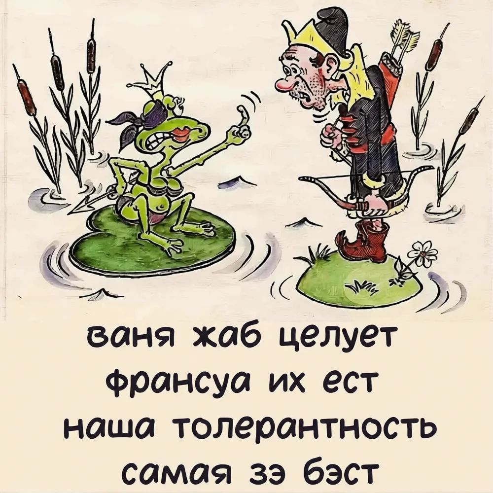ваня жаб целует франсуа их ест наша толерантность самая зэ бэст