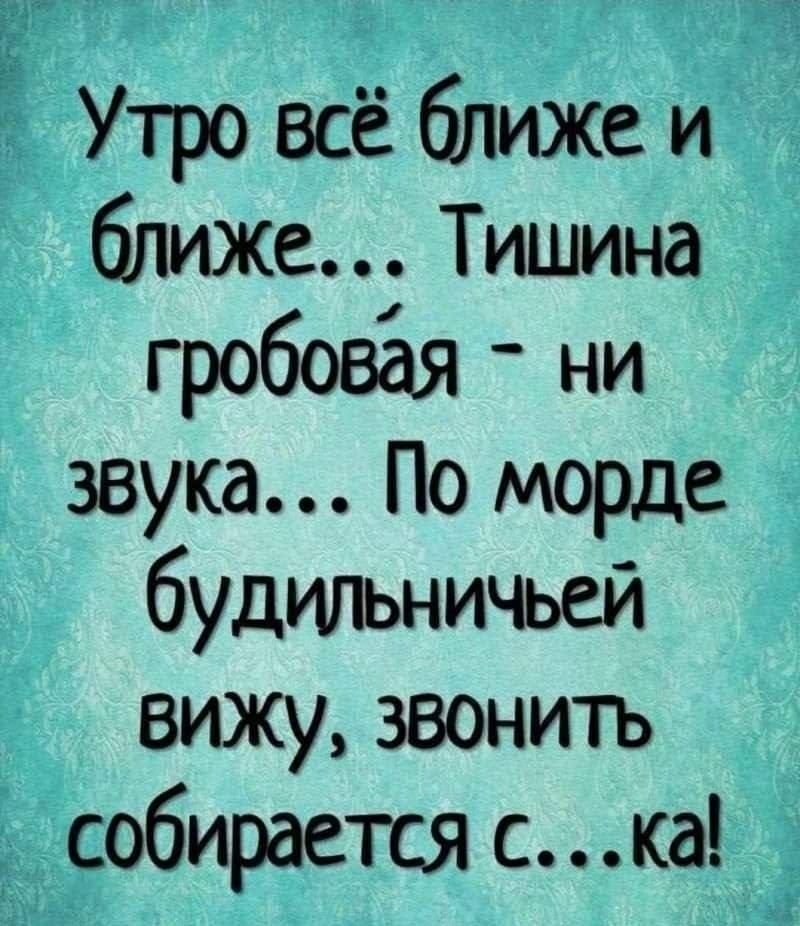 Утро всё ближе и ближе... Тишина гробовая - ни звука... По морде будильничьей вижу, звонить собирается с...ка!