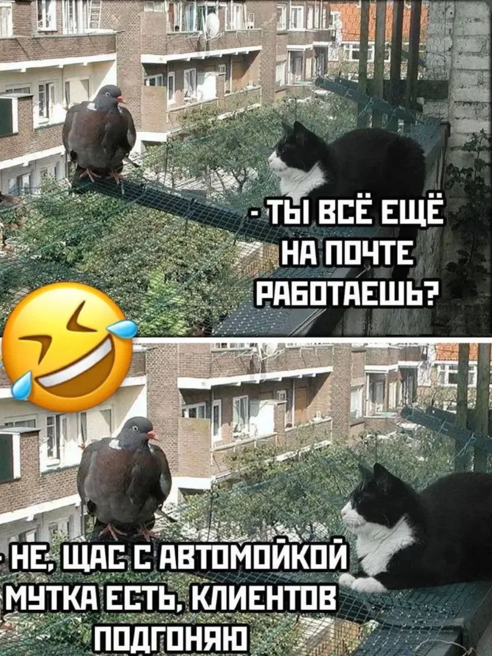 - Ты всё ещё на почте работаешь?
- Не, щас с автомойкой мутка есть, клиентов подгоняю