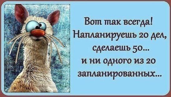 Вот так всегда! Напланируешь 20 дел, сделаешь 50... и ни одного из 20 запланированных...