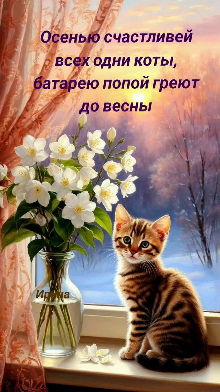 Осенью счастливей всех одни коты, батарею попой греют до весны. Ирина
