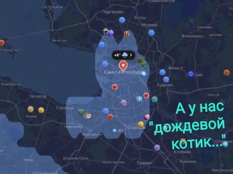 А у нас дождевой котик...