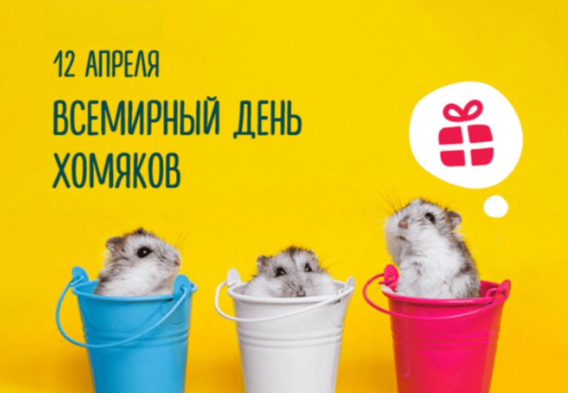 12 АПРЕЛЯ ВСЕМИРНЫЙ ДЕНЬ ХОМЯКОВ