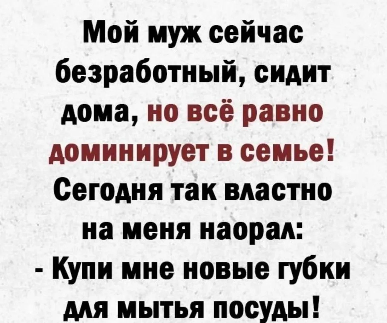 Мой муж сейчас безработный, сидит дома, но всё равно доминирует в семье! Сегодня так властно на меня наорал: - Купи мне новые губки для мытья посуды!