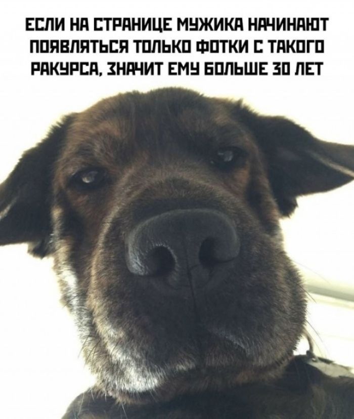 Если на странице мужика начинают появляться только фотки с такого ракурса, значит ему больше 30 лет