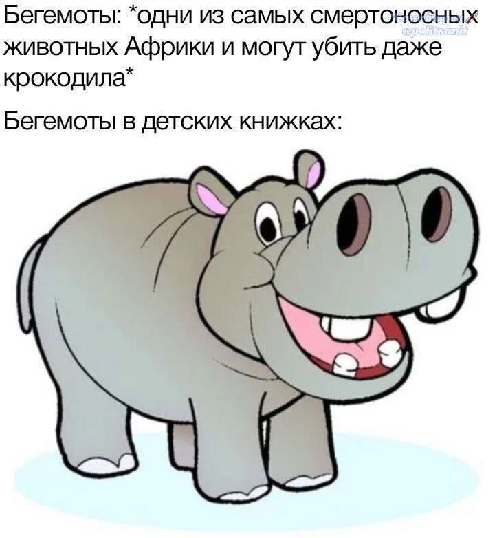 Бегемоты: *одни из самых смертоносных животных Африки и могут убить даже крокодила* Бегемоты в детских книжках: