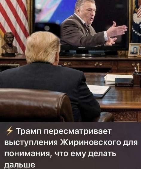 Трамп пересматривает выступления Жириновского для понимания, что ему делать дальше