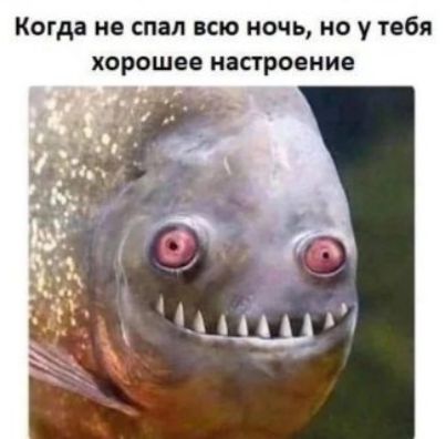 Когда не спал всю ночь, но у тебя хорошее настроение