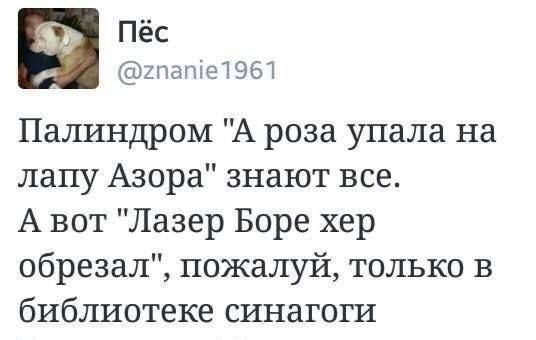 Палиндром 