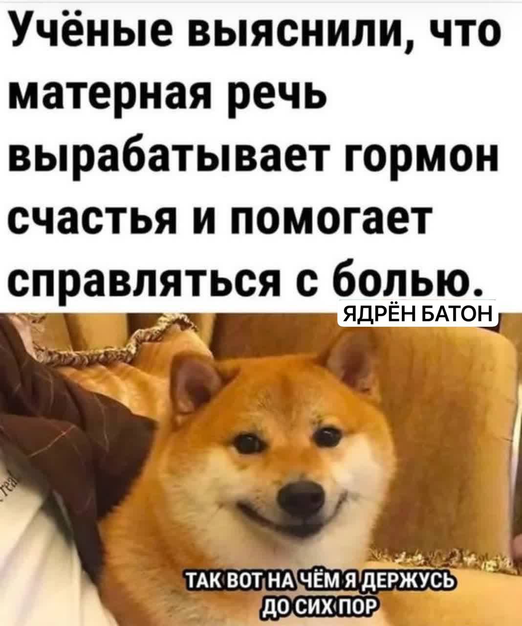 Учёные выяснили, что матерная речь вырабатывает гормон счастья и помогает справляться с болью. ЯДРЁН БАТОН. Так вот на чём я держусь до сих пор.