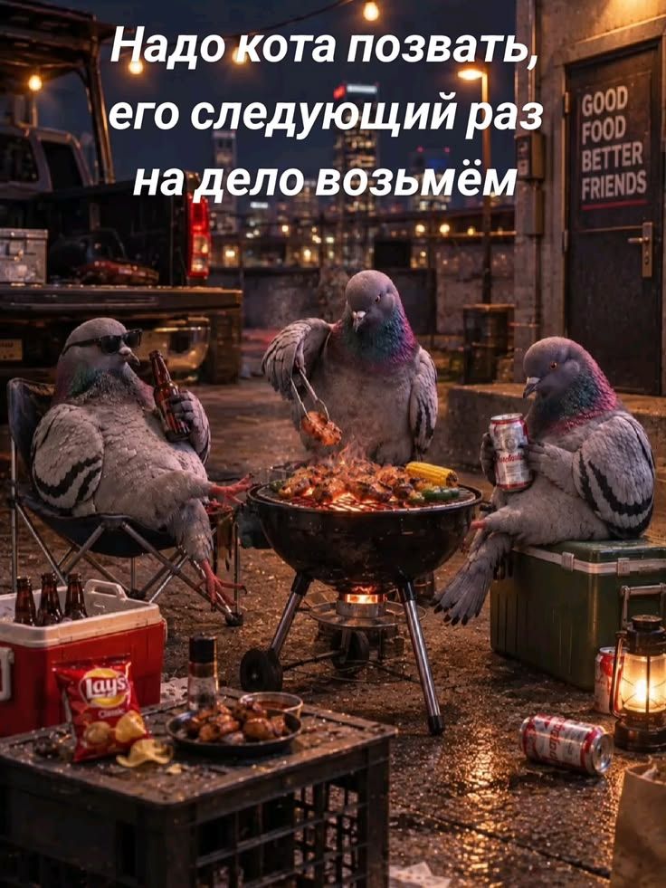 Надо кота позвать, его следующий раз на дело возьмём