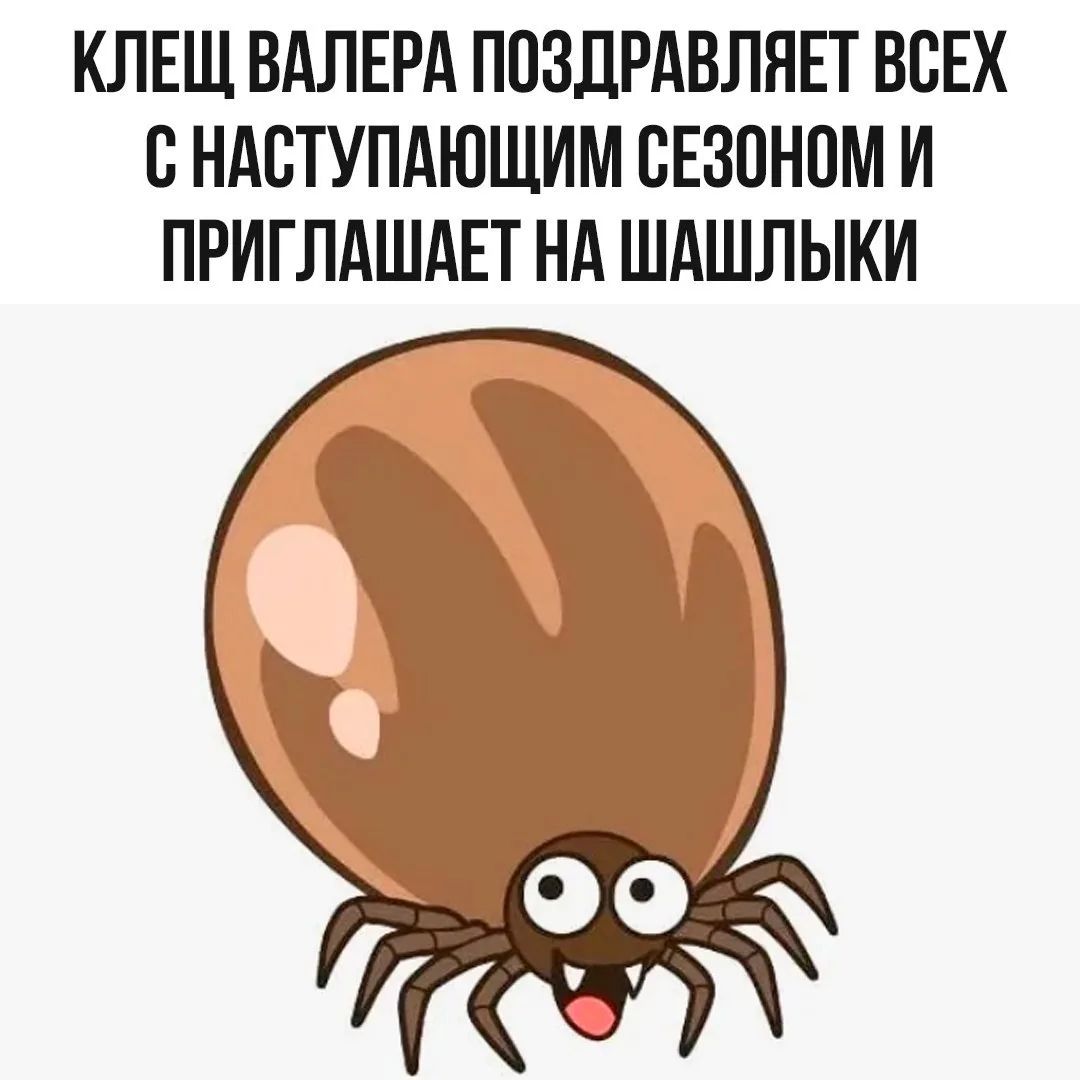 КЛЕЩ ВАЛЕРА ПОЗДРАВЛЯЕТ ВСЕХ С НАСТУПАЮЩИМ СЕЗОНОМ И ПРИГЛАШАЕТ НА ШАШЛЫКИ