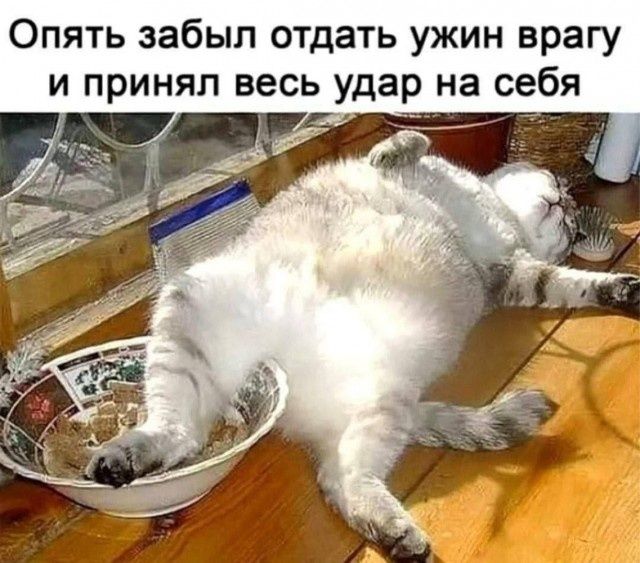 Опять забыл отдать ужин врагу и принял весь удар на себя