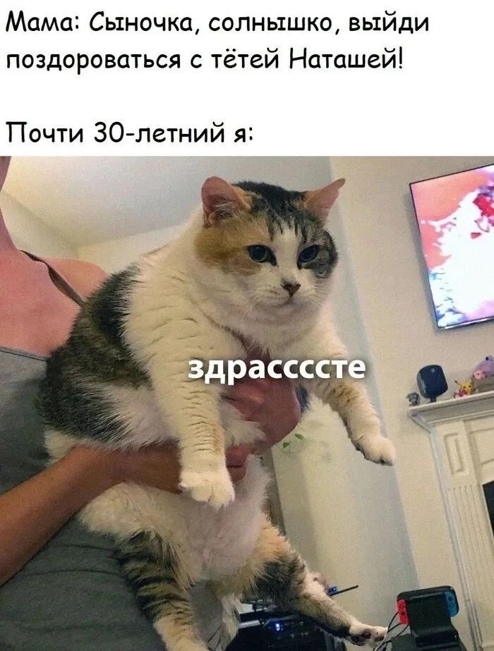 Мама: Сыночка, солнышко, выйди поздороваться с тётей Наташей! Почти 30-летний я: Здрассссте
