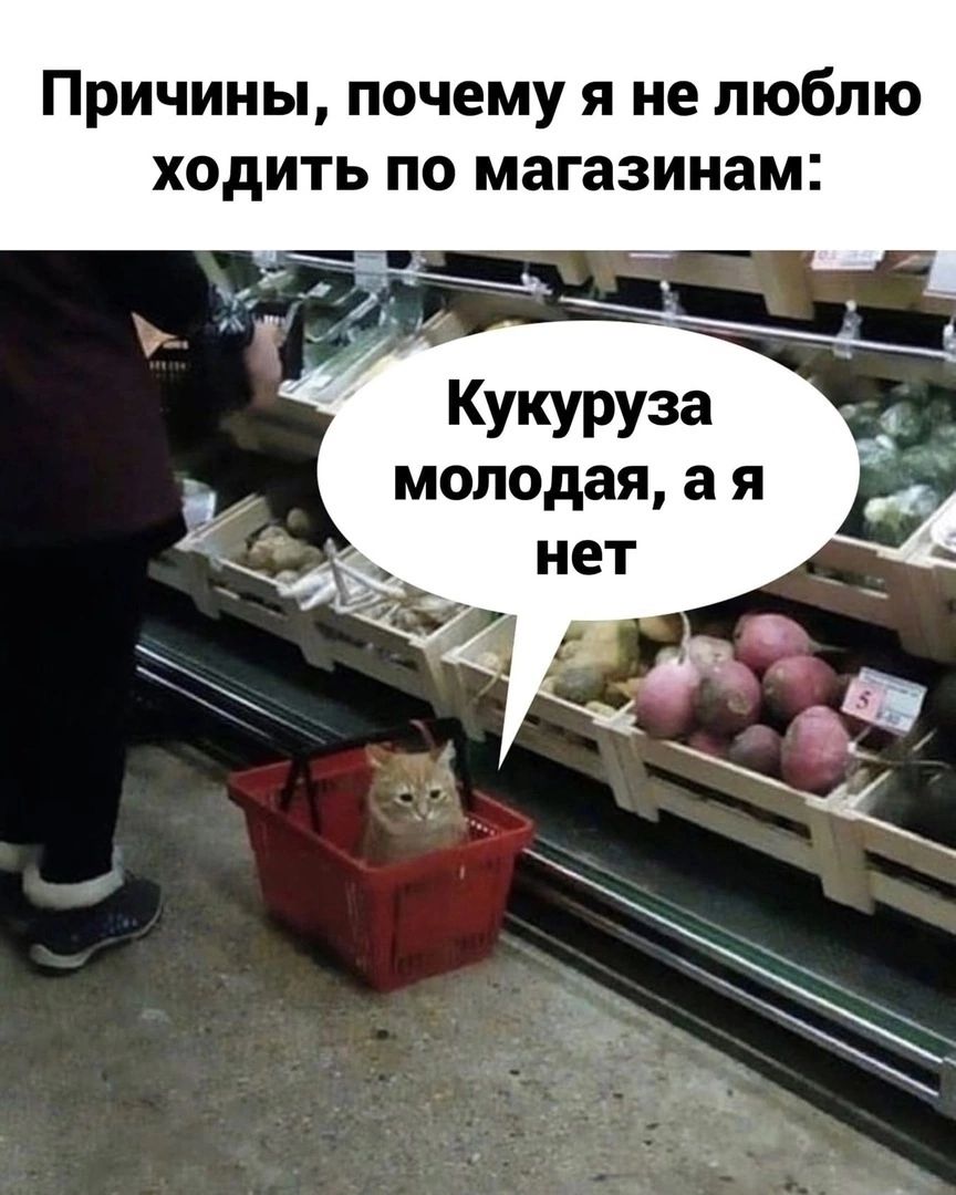Причины, почему я не люблю ходить по магазинам: Кукуруза молодая, а я нет