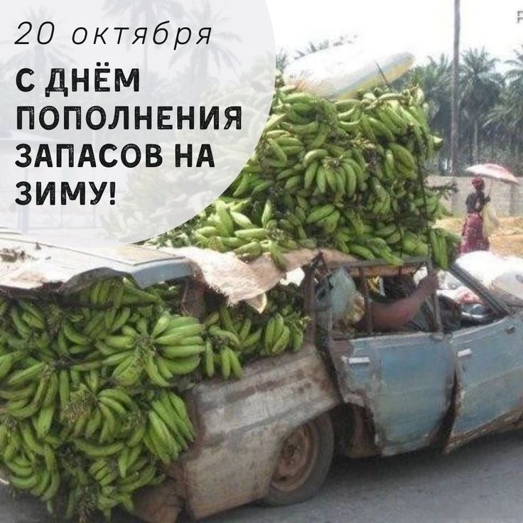 20 октября С ДНЁМ ПОПОЛНЕНИЯ ЗАПАСОВ НА ЗИМУ!