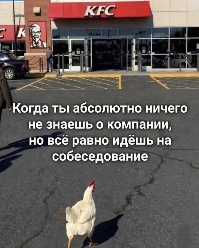 Когда ты абсолютно ничего не знаешь о компании, но всё равно идёшь на собеседование
