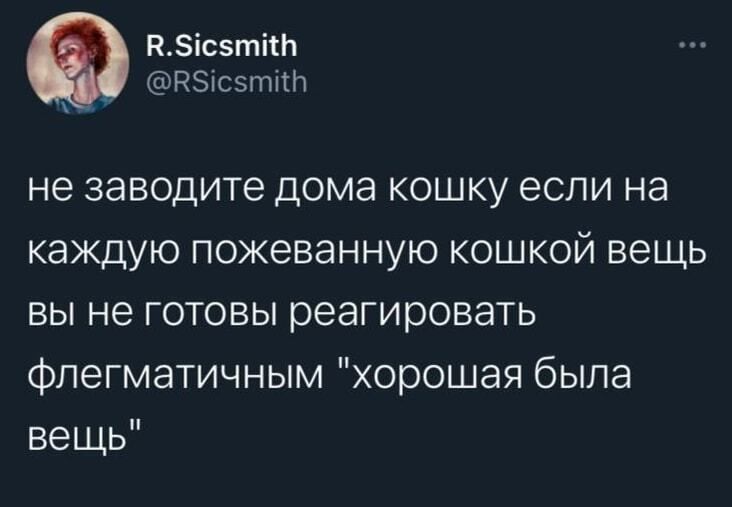 R.Sicsmith @RSicsmith не заводите дома кошку если на каждую пожеванную кошкой вещь вы не готовы реагировать флегматичным 