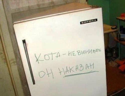 КОТА - НЕ ВЫНИМАТЬ ОН НАКАЗАН