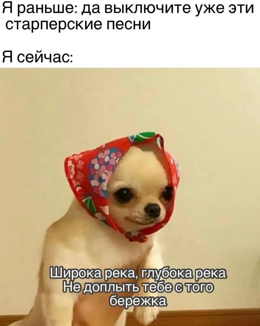 Я раньше: да выключите уже эти старперские песни. Я сейчас: Широка река, глубока река. Не доплыть тебе с того бережка