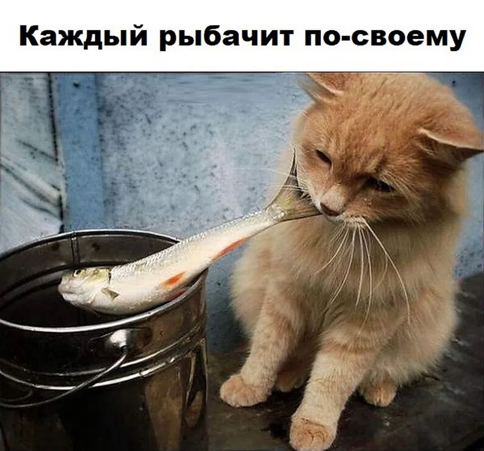Каждый рыбачит по-своему