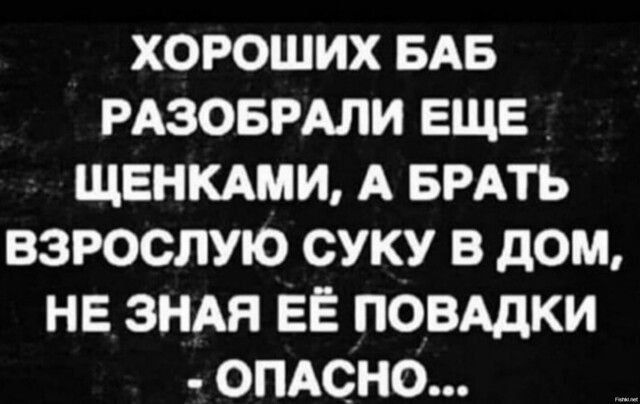 ХОРОШИХ БАБ РАЗОБРАЛИ ЕЩЕ ЩЕНКАМИ, А БРАТЬ ВЗРОСЛУЮ СУКУ В ДОМ, НЕ ЗНАЯ ЕЁ ПОВАДКИ - ОПАСНО...