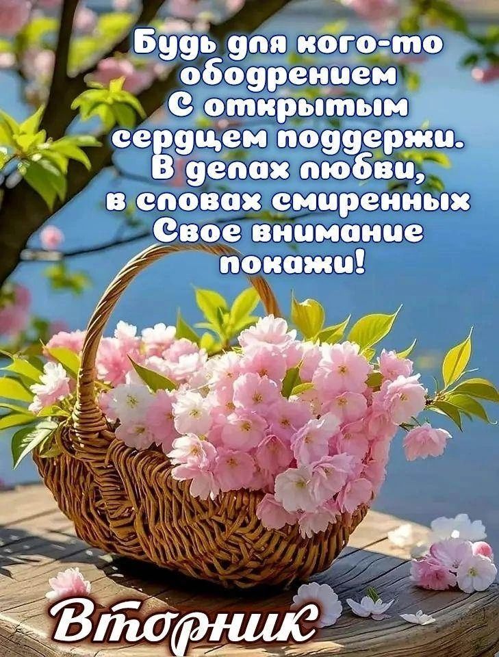Будь для кого-то ободрением С открытым сердцем поддержи. В делах любви, в словах смиренных Свое внимание покажи! Вторник