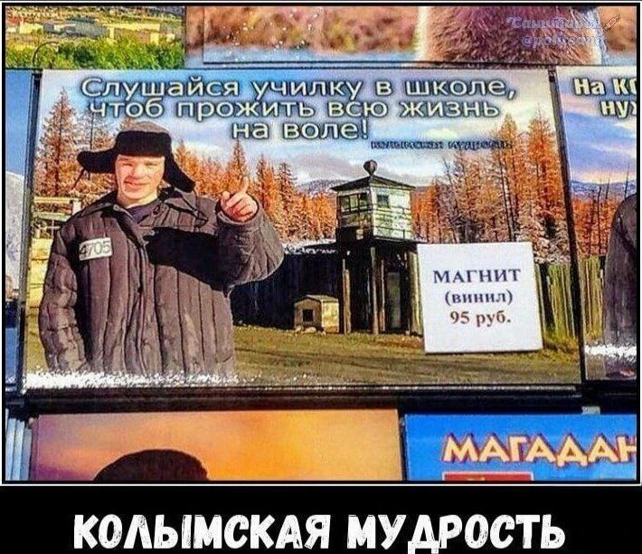 Слушайся училку в школе, чтоб прожить всю жизнь на воле! МАГНИТ (винил) 95 руб. КОЛЫМСКАЯ МУДРОСТЬ