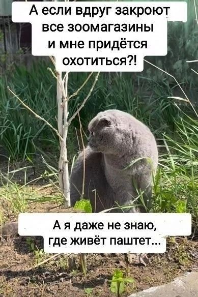 А если вдруг закроют все зоомагазины и мне придётся охотиться?! А я даже не знаю, где живёт паштет...