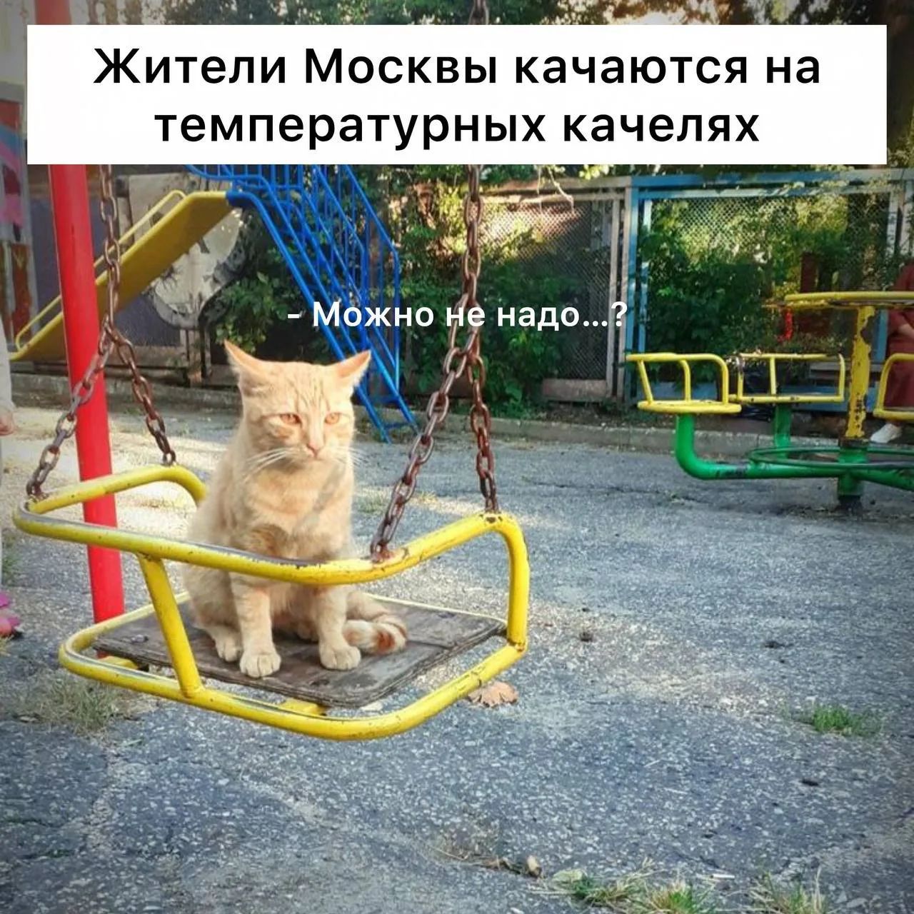 Жители Москвы качаются на температурных качелях - Можно не надо...?