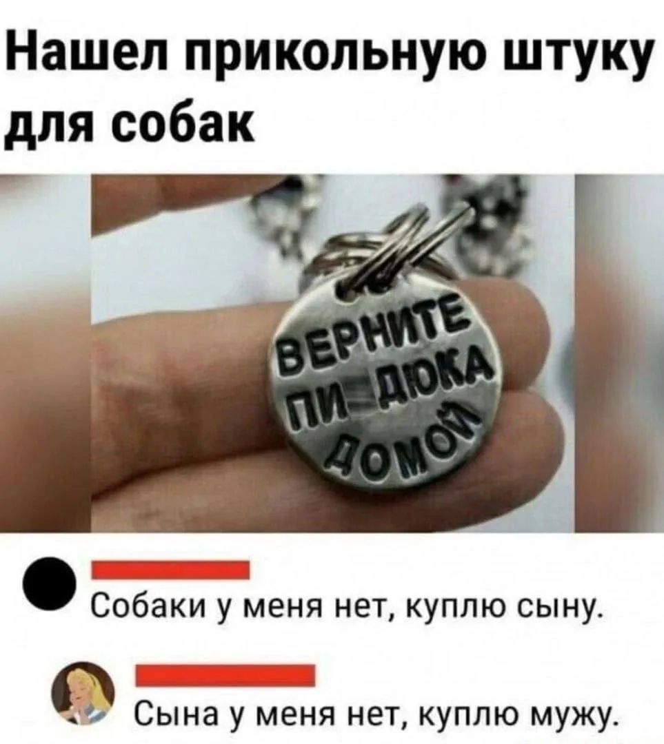 Нашел прикольную штуку для собак. ВЕРНИТЕ ПИДЮКА ДОМОЙ. Собаки у меня нет, куплю сыну. Сына у меня нет, куплю мужу.