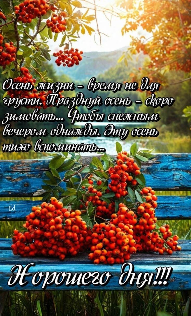 Осень жизни — время не для грусти. Празднуй осень — скоро зимовать... Чтобы снежным вечером однажды. Эту осень тихо вспоминать... Хорошего дня!!!