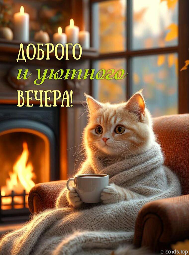 ДОБРОГО И УЮТНОГО ВЕЧЕРА!