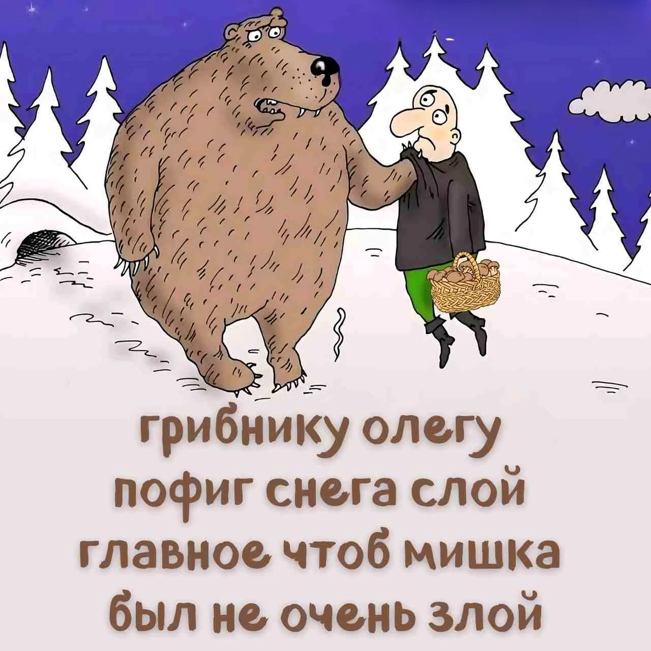 грибнику олегу пофиг снега слой главное чтоб мишка был не очень злой